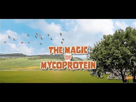 qworno|Magic of Mycoprotein .